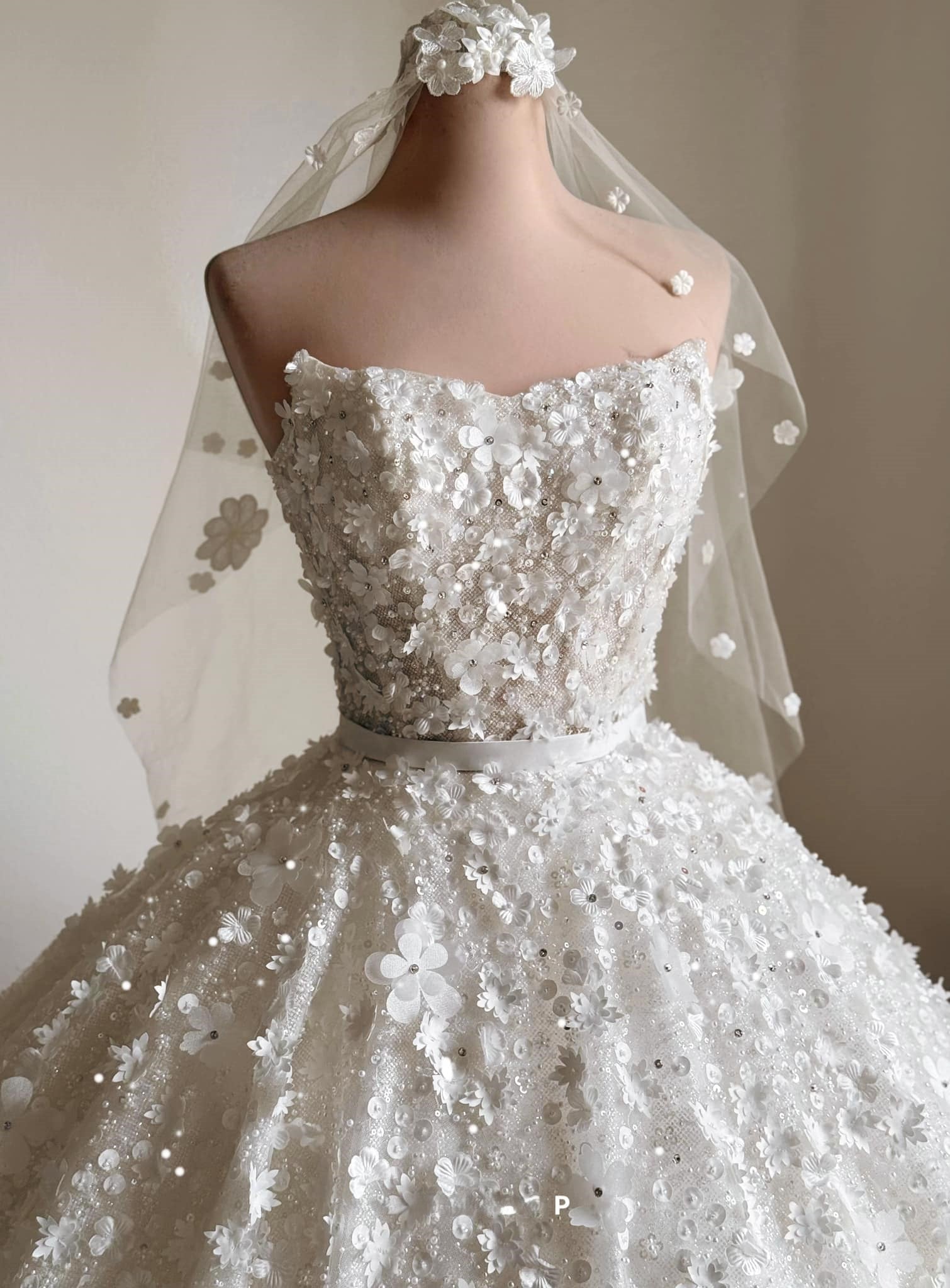 3D Floral Sparkle Ball Gown Wedding Dress with Beaded Corset | Silque