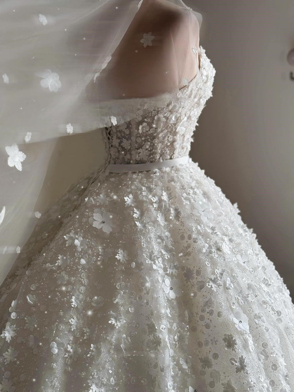 3D Floral Sparkle Ball Gown Wedding Dress with Beaded Corset | Silque