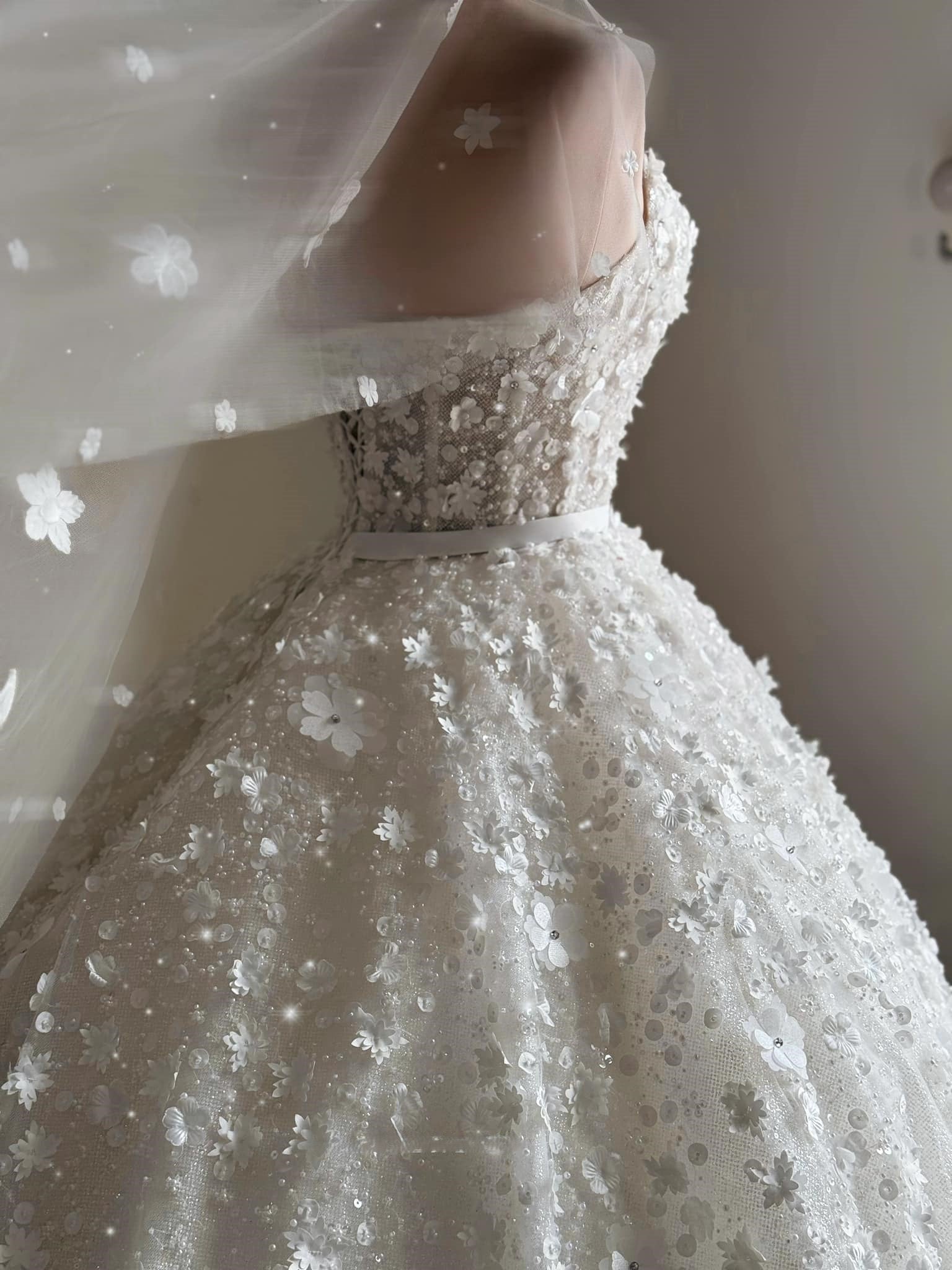 3D Floral Sparkle Ball Gown Wedding Dress with Beaded Corset | Silque