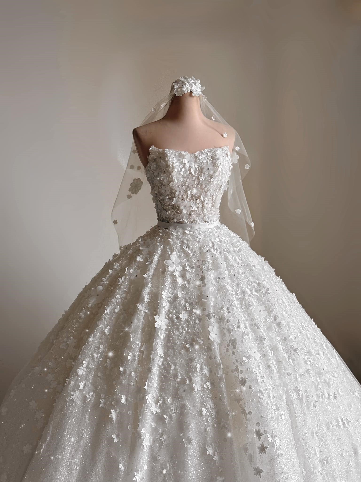 3D Floral Sparkle Ball Gown Wedding Dress with Beaded Corset | Silque